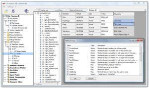 cff explorer linux